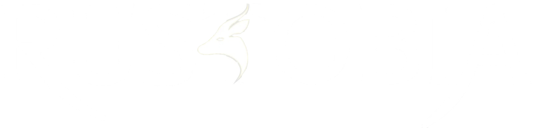 489730578_558363787321535_7348786553484287050_n
